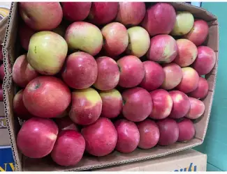 Зображення для оголошення Продам власні яблука з холодильника та складу