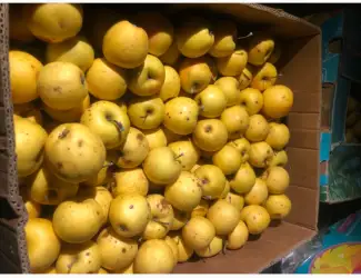 Зображення для оголошення Продам яблука на сік