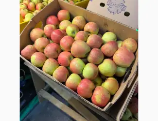 Зображення для оголошення Продам Яблака