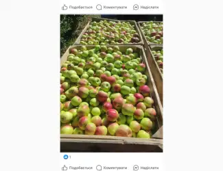 Зображення для оголошення Яблука з холодильника