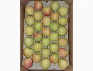 Зображення для оголошення Продам яблуко сорту Голден (Golden Parsi da Rosa)