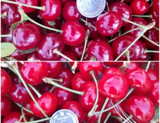 Зображення для оголошення Продам вишню Метеор отличного качества