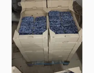 Зображення для оголошення Продам лохину