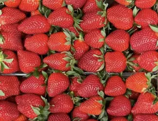 Зображення для оголошення Клубника