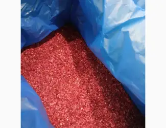 Зображення для оголошення Продам малину Грис