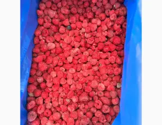 Зображення для оголошення Продам малину 70/30