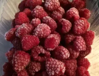 Зображення для оголошення Продам малину заморожену