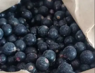Зображення для оголошення Продам смородину