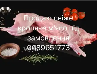 Зображення для оголошення Продам кролики , кролячі тушки