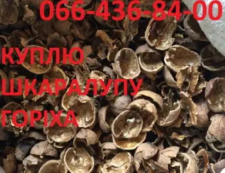 Зображення для оголошення Куплю шкаралупу грецького горіха