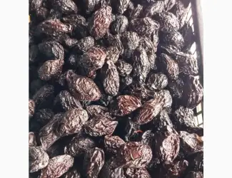 Зображення для оголошення Продам Чорнослив