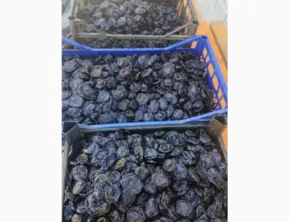 Зображення для оголошення Продам чорнослив без кісточки