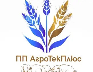 Зображення для оголошення Куплю свиноматок терміново