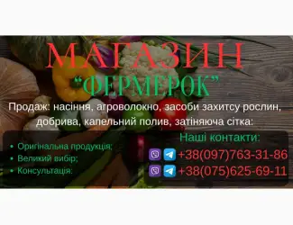 Зображення для оголошення Продам насіння овочів