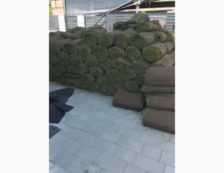 Зображення для оголошення Рулонний газон Преміум
