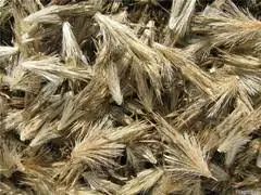 Зображення для оголошення Продам насіння крутая (головатень)
