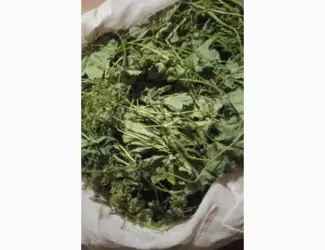 Зображення для оголошення Куплю манжетку