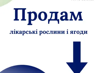 Зображення для оголошення Продам лікарські РОСЛИНИ | ОПТ (лік трави і ягоди)