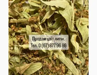 Зображення для оголошення Продам цвіт липи. Ідеальний стан та зберігання