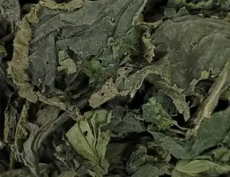 Зображення для оголошення Куплю кропиву