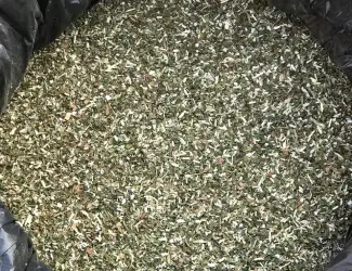 Зображення для оголошення Продам махорку самосад
