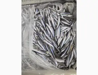 Зображення для оголошення Продам Хамсу