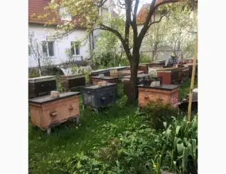 Зображення для оголошення Продам обладнання для пасіки б/у