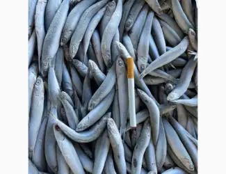 Зображення для оголошення Продам хамсу!!!свежий вылов