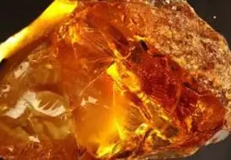 Зображення для оголошення Бальзам «ЯХвА» 4 - antitumor amber (противоопухолевый с янтарем) 110мл