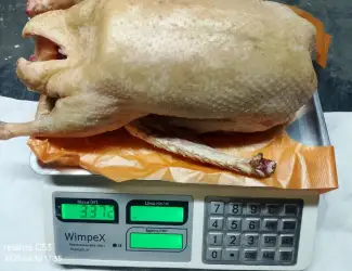 Зображення для оголошення Продажа домашнего мяса гуся и утки, натуральное