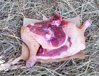 Зображення для оголошення Продажа гусиной ножки, гусятина
