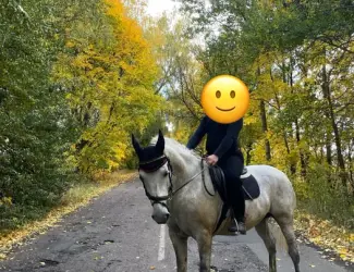 Зображення для оголошення Продаж коня мерина Орловський рисак, 9 років