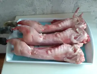 Зображення для оголошення М'ясо домашнього кролика.