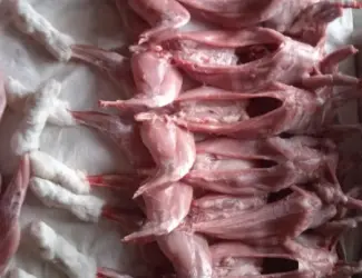 Зображення для оголошення Продаж мяса кролика 1,5–1,7 кг молодий забій