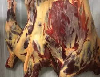 Зображення для оголошення Конина полутуши и мякоть