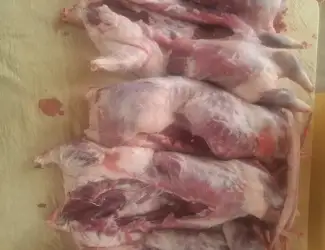 Зображення для оголошення Продам мясо кроликов и нутрий