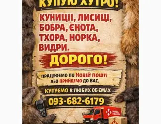 Зображення для оголошення Куплю хутро куниці та інше