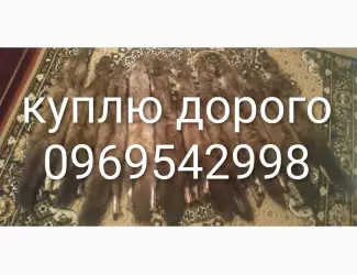 Зображення для оголошення Принімаю шкіри з куниці лиса