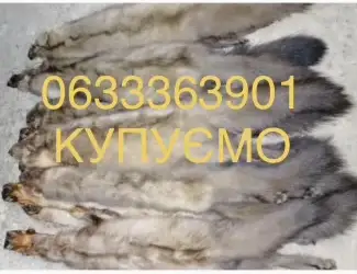 Зображення для оголошення Куплю купуємо шкури шкіри хутро куниці куниця