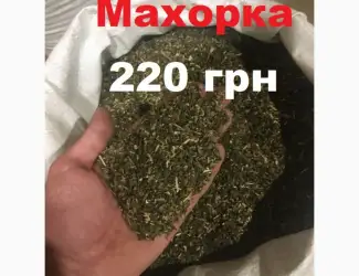 Зображення для оголошення Махорка крепкая и пахучая