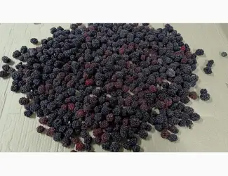 Зображення для оголошення Продам ожину культивовану. Свіжоморожена