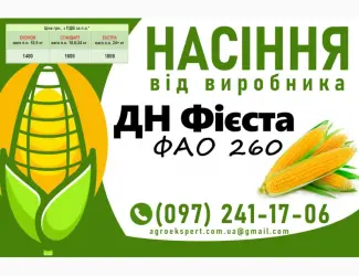 Зображення для оголошення Насіння кукурудзи 2025 - гібрид ДН Фієста( ФАО 260) від виробника