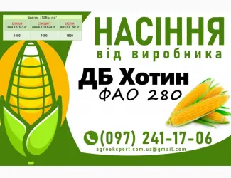 Зображення для оголошення Насіння кукурудзи 2025 - гібрид ДБ Хотин (ФАО 280) від виробника