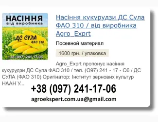 Зображення для оголошення Купити Насіння Кукурудзи ДС Сула Посівмат на 2026 від виробника