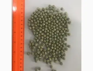 Зображення для оголошення Закуповуємо горох насипом Ф2
