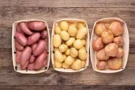 Зображення для оголошення Семенной картофель Ривьера , Мирослава, Гранада