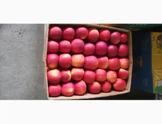 Зображення для оголошення Продам яблука хорошої якості