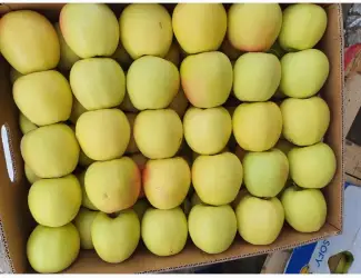 Зображення для оголошення Продам яблука гарної якості