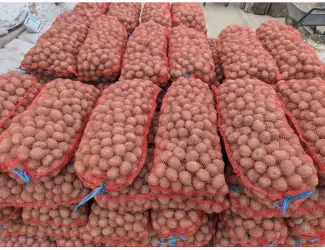 Зображення для оголошення Продам насіневу картоплю (Белароза)