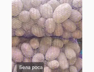 Зображення для оголошення Продам товарный картофель